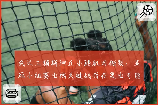 武汉三镇斯坦丘小腿肌肉撕裂，亚冠小组赛出线关键战存在复出可能