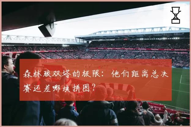 森林狼双塔的极限：他们距离总决赛还差哪块拼图？