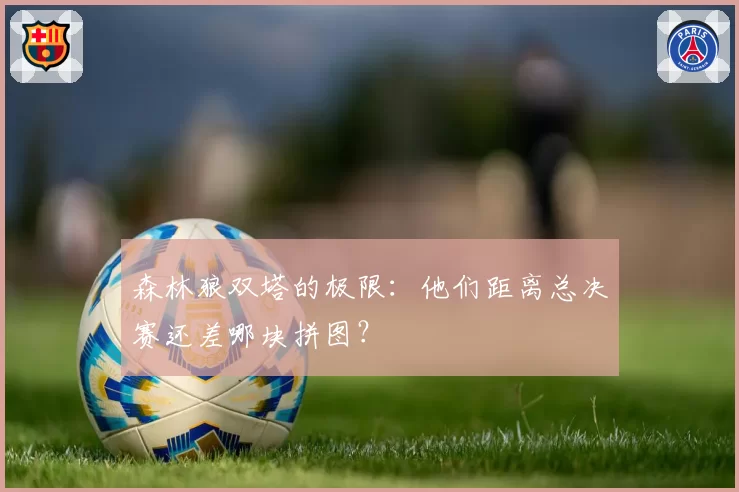 森林狼双塔的极限：他们距离总决赛还差哪块拼图？